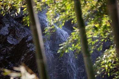 《Temtem》1.0版本全平台正式发售 大量新内容上线