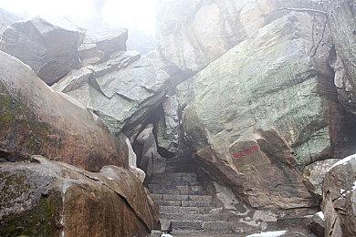 龙珠Moba游戏《龙珠Project：Multi》计划2025年发售 登陆Steam和移动端